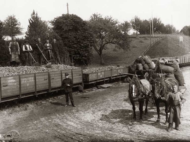 studach-geschichte-1